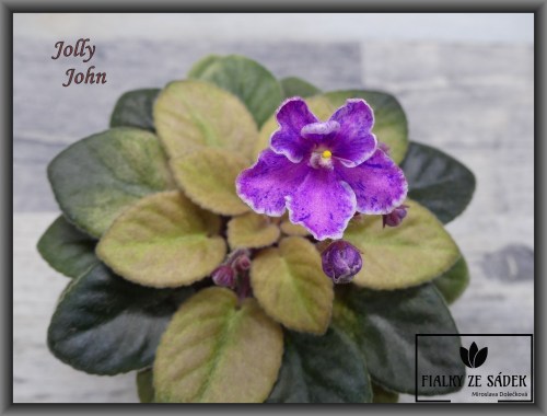 Jolly John